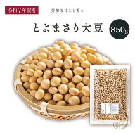 新豆入荷 大粒とよまさり大豆2.8上 850グラム 令和7年収穫 北海道産 【送料無料】 大豆 とよまさり大豆 …
