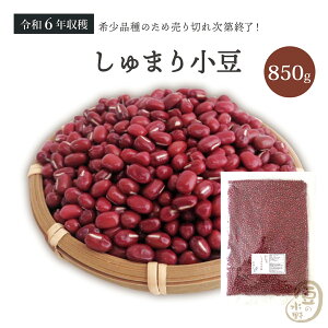 しゅまり小豆 850グラム 令和6年収穫 北海道産 【送料無料】 朱鞠小豆 朱鞠 しゅまり 小豆 あずき あづき 北海小豆 国産小豆 北海道産小豆 豆 乾燥豆 乾燥小豆 国産 国内産 北海道産 食物繊維
