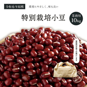 Ɩp ʍ͔| 10Kg ߘa6Nn kC \Y yz K 10L ʍ͔|_Y   Y   Y Y Â kCY 傤  