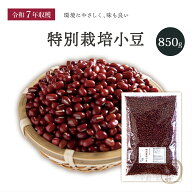 新豆入荷 特別栽培小豆 850グラム 令和7年収穫 北海道 十勝産 【送料無料】 特別栽培農産物 えりも小豆 …