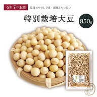 新豆入荷 特別栽培大豆 850グラム 令和7年収穫 北海道産 【送料無料】とよまさり大豆 食物繊維 畑の肉 白…