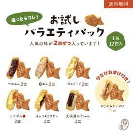 期間限定 おまけ付き 大垣屋のお試しスペシャルバラエティー12匹セット つぶあん2匹 カスタード2匹 白あん2匹 チョコカスター2匹 大垣屋スペシャル2匹 シナポム2匹 鯛焼き 送料無料 【お試し品のため同梱不可】 クール便専用 お取り寄せ スイーツ お試し たい焼き