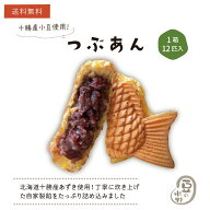 大垣屋のお試し鯛焼き つぶあん12匹入り 送料無料 【お試し品のため同梱不可】 クール便 自家製あん 急速…