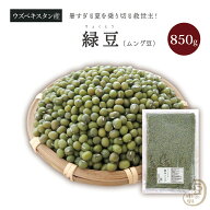 緑豆 850グラム ウズベキスタン産 2024年収穫送料無料 ムング豆 ムングダル ムングダール 青小豆 分豆 ヤ…
