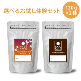 コーヒー豆 お試し 体験セット 選べる 120g×2種 マメーズ焙煎工房 スペシャルティコーヒー 焙煎したて 煎りたて 新鮮 高級 コーヒー 自家焙煎 飲み比べ お試しセット 小分け メール便 送料無料 コーヒー 豆のまま 粉 スペシャリティ
