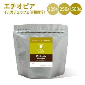 コーヒー豆 エチオピア スペシャルティコーヒー 120g / 250g / 500g イルガチェッフェ G2 有機栽培 マメーズ焙煎工房 モカ イルガチェフェ オーガニック 焙煎したて 煎りたて 新鮮 自家焙煎 コーヒー 豆のまま 粉 スペシャルティ スペシャリティ シングルオリジン