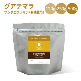 コーヒー豆 グァテマラ スペシャルティコーヒー 120g / 250g / 500g サンタエウラリア ファンシー SHB 有機栽培 オーガニック マメーズ焙煎工房 グアテマラ ガテマラ 焙煎したて 煎りたて 新鮮 自家焙煎 コーヒー 豆のまま 粉 スペシャルティ シングルオリジン