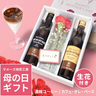 母の日 ギフト 2026 生花 と コーヒー セット 最高級 カフェオレベース 2本 + カーネーション 生花 無糖 …