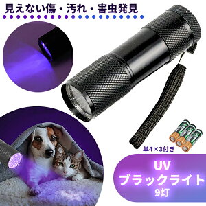 yňl풆zubNCg y 9LED UVCg OCg d u[Cg AjTLX A~ގ P4`drt WpdCg ybg̃IVbR ڂɂ͌Ȃ