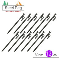 【最安値挑戦中】ペグ スチール製 お得な12本セット 30cm 高強度 引抜穴付き スチールペグ テント タープ…