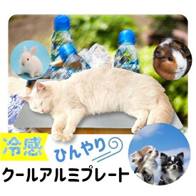 【最安値挑戦中】ひんやりアルミプレート（中） 小動物 用品 ひんやりグッズ クールマット 夏対策 冷たい エアコン 涼感 冷却　はりねずみ モルモット 30cm 20cm 小型 涼感プレート プレート うさぎ ケージ 暑さ対策 ひんやり マット ペット用品 ネコポス無料！