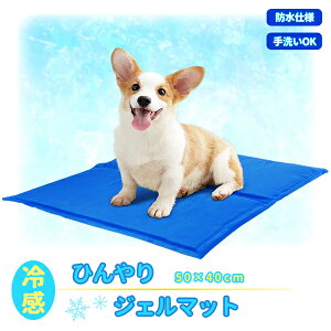 yňl풆z⊴WF}bg u[ (M) Ђ ybgp N[}bg ⊴ }bg Ђ   L   p}bg N[  Ck lR V[g MǑ΍ ObY 