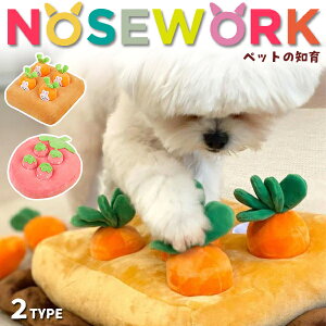 yňl풆zmߋ ko g[jO ɂ񂶂  U^F^U m[Y[N ybg  mߋ mgC  Ck L ybgp Hh~ t[h{E Q[  