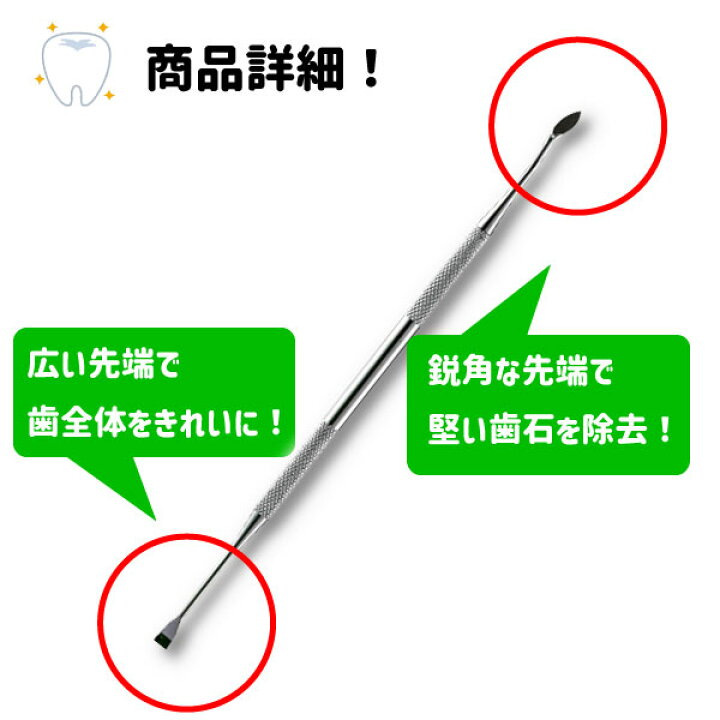 楽天市場 最安値挑戦中 ペット用 歯石取り 安全 口腔ケア 器具 スケーラー 犬用 猫用 犬 猫 ネコ 虫歯 虫歯予防 歯髄炎 歯磨き 歯周病 おウチ時間 お家時間 虫歯痛み 老犬 老猫 まめしば