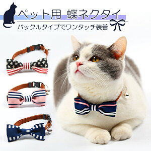 yňl풆zybgp  lN^C L ^  킢  { ybg Lp sN lCr[ `OI