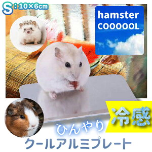 yňl풆zЂA~v[giSj 10cm×6cm nX^[ pi ЂObY N[}bg đ΍ ₽ GAR  p ⊴ ͂˂ bg ^ v[g v