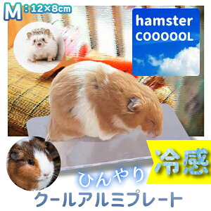 yňl풆zЂA~v[giMj 12cm×8cm nX^[ pi ЂObY N[}bg đ΍ ₽ GAR  p ⊴ ͂˂ S[f ^ v[g v