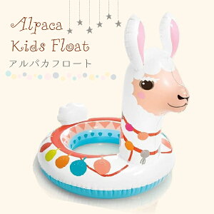 yňl풆zApJ Aj}t[g    EL INTEX q LbY t[g ApJ }  ⋋} C v[ SNSf CX^f Ԃ q t[g 