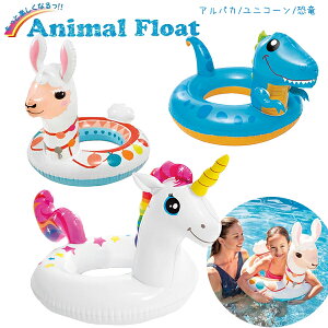 yňl풆zjR[EApJ  Aj}t[g    EL INTEX q LbY t[g jR[ ApJ } C v[ SNSf CX^f Ԃ 