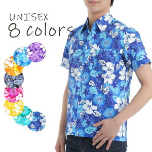 AnVc Y fB[X LbY nCrXJX nC  Cxg Ղ jtH[ M A