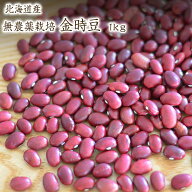 【宅急便】 無農薬金時豆【1kg】北海道産 金時豆 農薬化学肥料不使用 赤いんげん JAS認証を所得した有機…