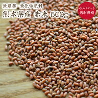 【ゆうパケット 送料無料】残りわずか 赤米 【500g】自然栽培 古代米 夕やけもち 熊本県産 令和7年産農薬…