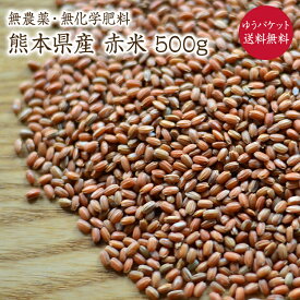 【ゆうパケット 送料無料】赤米 新米【500g】自然栽培 古代米 夕やけもち 熊本県産 令和7年産農薬化学肥料不使用 自然栽培米