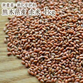 【宅急便】赤米【1kg】自然栽培 古代米 夕やけもち 熊本県産 農薬化学肥料不使用 JAS認証有機米を小袋にしております。JAS認証マークは入っておりません