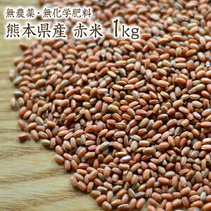 y}ցzԕ Vāy1kgzR͔| Ñ [₯ F{Y ߘa7NY_򉻊w엿sgp R͔|