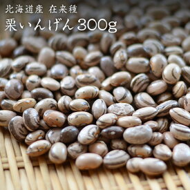 【宅急便】栗いんげん豆 300g 北海道産 在来種 農薬化学肥料不使用 国産 希少いんげん豆
