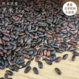 【宅配便】黒米【1kg】自然栽培 古代米 熊本県産 農薬化学肥料不使用 JAS認証有機米を小袋にしております。JAS認証マークは入っておりません