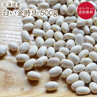 【ゆうパケット 送料無料】 】 白い金時 「500g」令和6年産 新豆北海道産 福白金時 白金時豆 白いんげん…