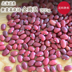 【ゆうパケット　送料無料】 無農薬金時豆【300g】 北海道産 金時豆 農薬化学肥料不使用 赤いんげんJAS認証を所得した有機金時豆を小袋にしております。小袋のためJAS認証マークはついておりません。