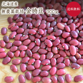 【ゆうパケット　送料無料】 無農薬金時豆【900g】 北海道産 金時豆 農薬化学肥料不使用 赤いんげんJAS認証を所得した有機金時豆を小袋にしております。小袋のためJAS認証マークはついておりません。