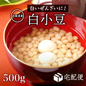 yzցzV y500gzkCY ߘa7NY kق钆R_̓ zbJCVVEY 񂴂┒ ƂĂiȖ킢