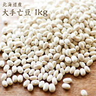 【宅配便】北海道産 手亡豆 「1kg」令和7年産 大手亡豆 小粒白いんげん 雪手亡 サラダやスープ 白あんな…