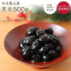 【ゆうパケット送料無料】篠山産 丹波黒豆【2L 500g】令和5年産丹波ささやま産 黒豆 大粒 大黒豆 黒豆甘煮レシピ付 本場の味