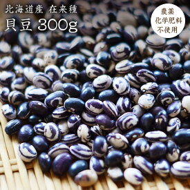 【宅急便】貝豆 300g【在来種】北海道産 いんげん豆 無農薬無化学肥料 希少いんげん豆