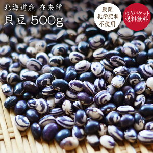 【ゆうパケット 送料無料】貝豆 500g【在来種】北海道産 いんげん豆 無農薬無化学肥料 希少いんげん豆