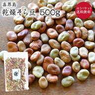 【ゆうパケット 送料無料】乾燥そら豆【500g】喜界島産 令和8年産 そら豆 農薬不使用 蚕豆 国産 希少 鹿…