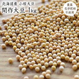 【宅急便】北海道産 間作大豆 1kg 小粒大豆 令和5年産 農薬化学肥料不使用 納豆作りに 豆ごはん 豆腐 国産