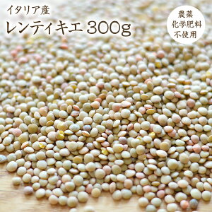 yzցzR͔| uEY y300gz C^AY eBLG Y tY _򉻊w엿sgp