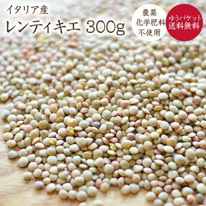 y䂤pPbg zR͔| uEY y300gz C^AY eBLG Y tY _򉻊w엿sgp