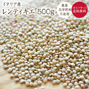 y䂤pPbg zR͔| uEY 500g C^AY eBLG Y tY _򉻊w엿sgp
