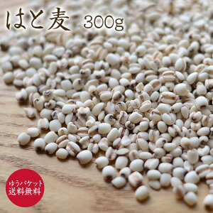 �y�䂤�p�P�b�g ���������z�͂Ɣ� 300g ��茧�Y �� ���Y