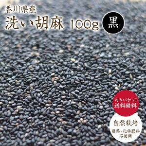 y䂤pPbg z􂢌Ӗ  100g 쌧Y R͔| Ӗ YӖ ZT~ ӖyĂ炨g