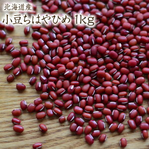 y}ցz ͂Ђ y1kgz kCY  ߘa6NY i aَq Ԕ 񂴂  y