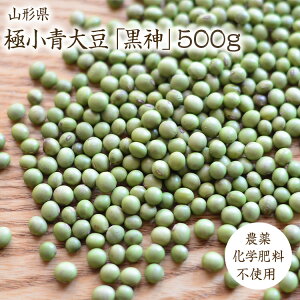 【宅急便】黒神 【500g】 山形県産 極小青大豆 希少青豆 農薬不使用 肥料不使用 自然栽培 煮豆 炊き込みごはん 味噌