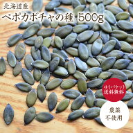 【ゆうパケット送料無料】入荷待ち28日入荷予定ペポカボチャの種（生）【500g】北海道十勝産 希少な国産…