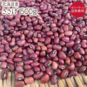 y䂤pPbgz Y kCYy500gzߘa6NY ܂ Ԕїp Ԃ